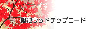 栂池ウッドチップロード